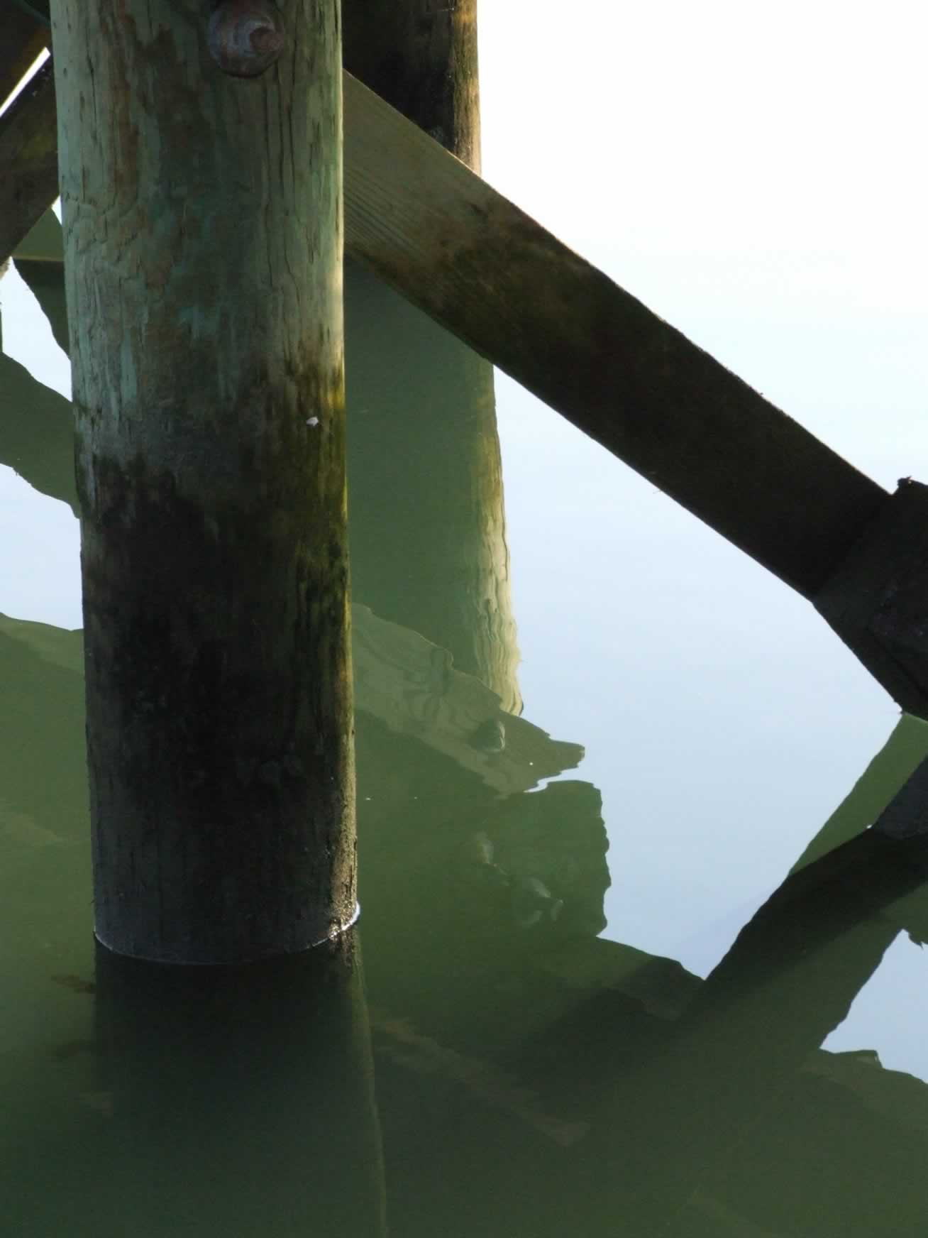 Under a Pier
